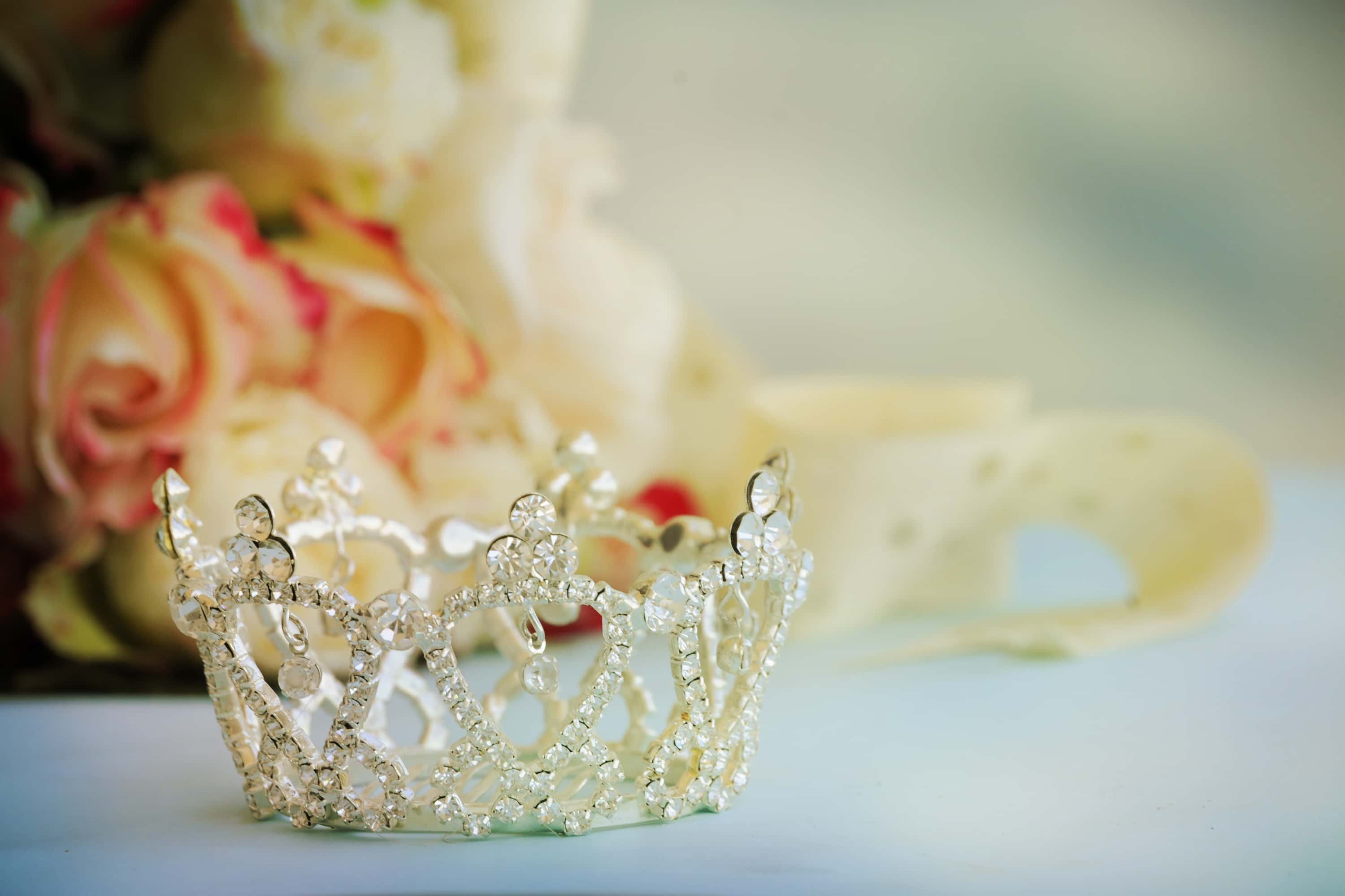 Chelsea Handler facts