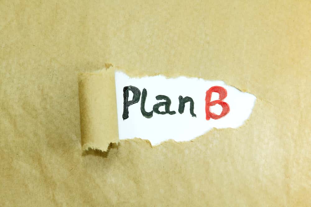 Caterina Sforza Facts