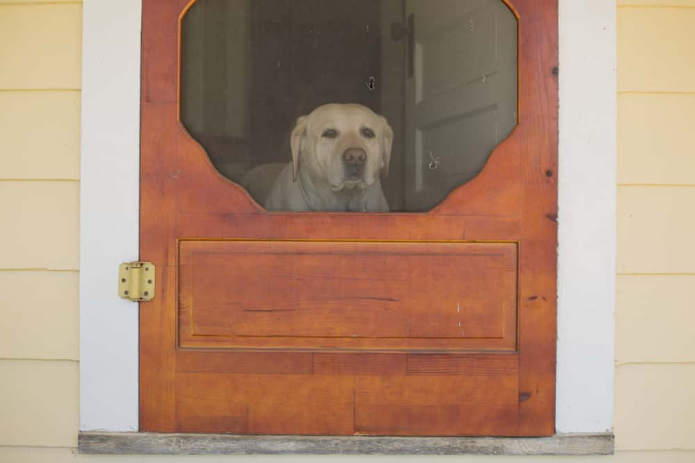 Dumbest Ways They’ve Hurt Themselves Facts