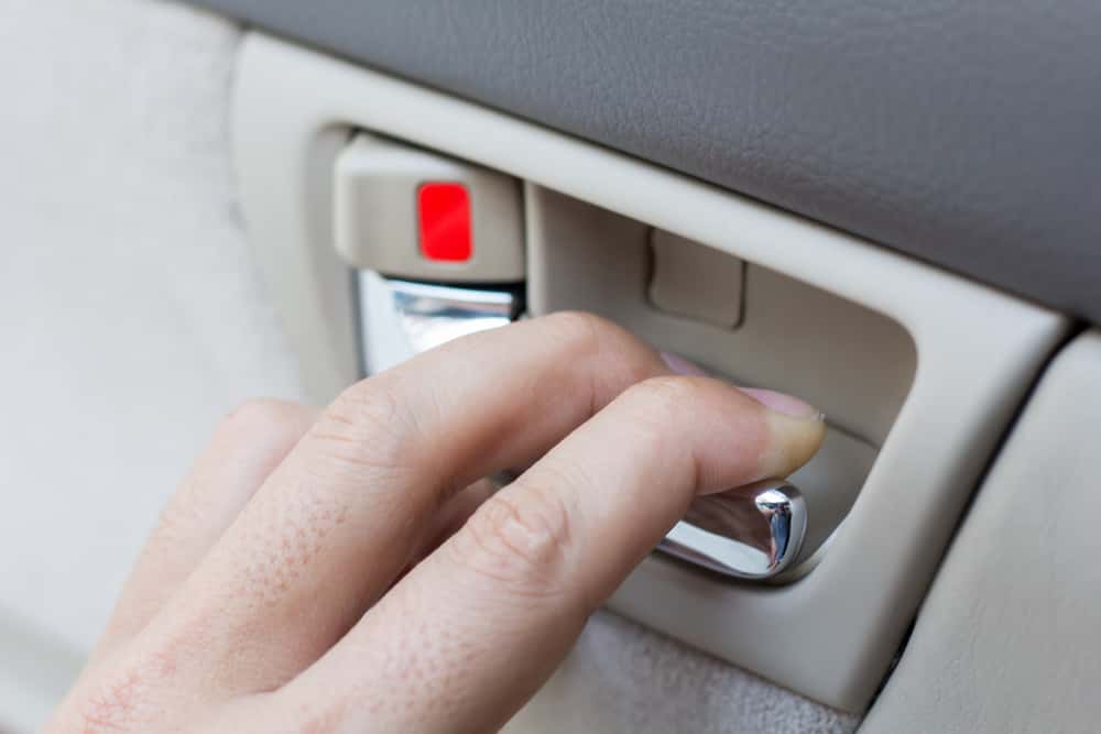 Almost Kidnapped Facts