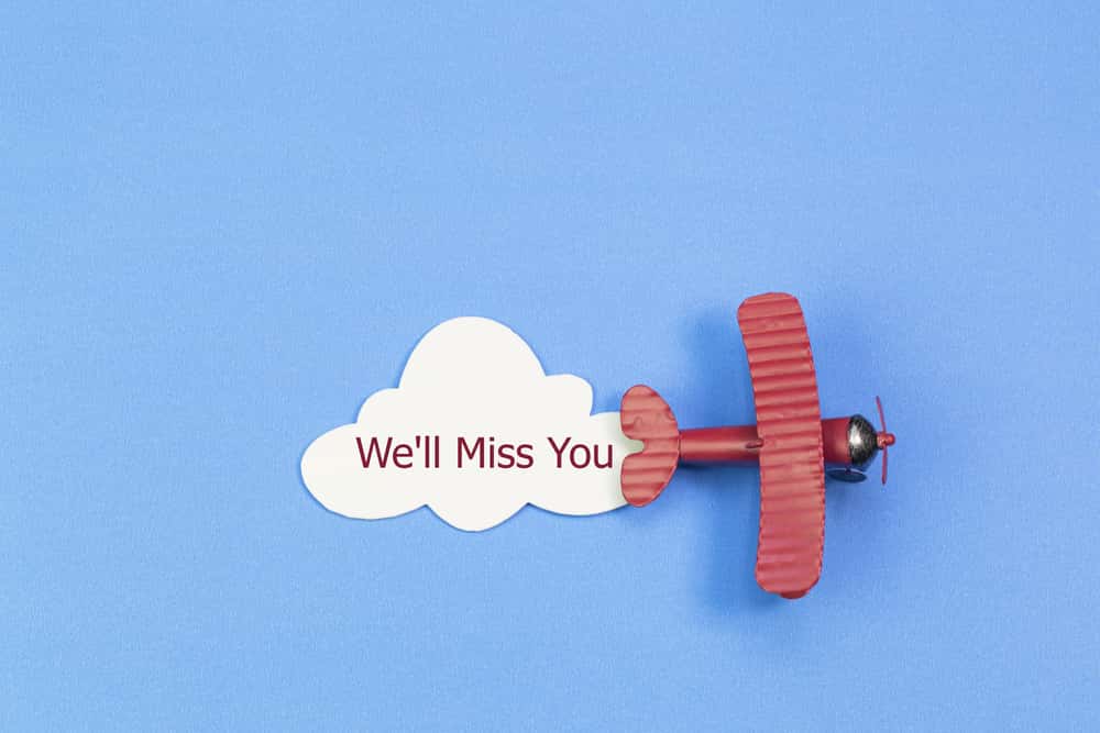 Airport Goodbyes Facts