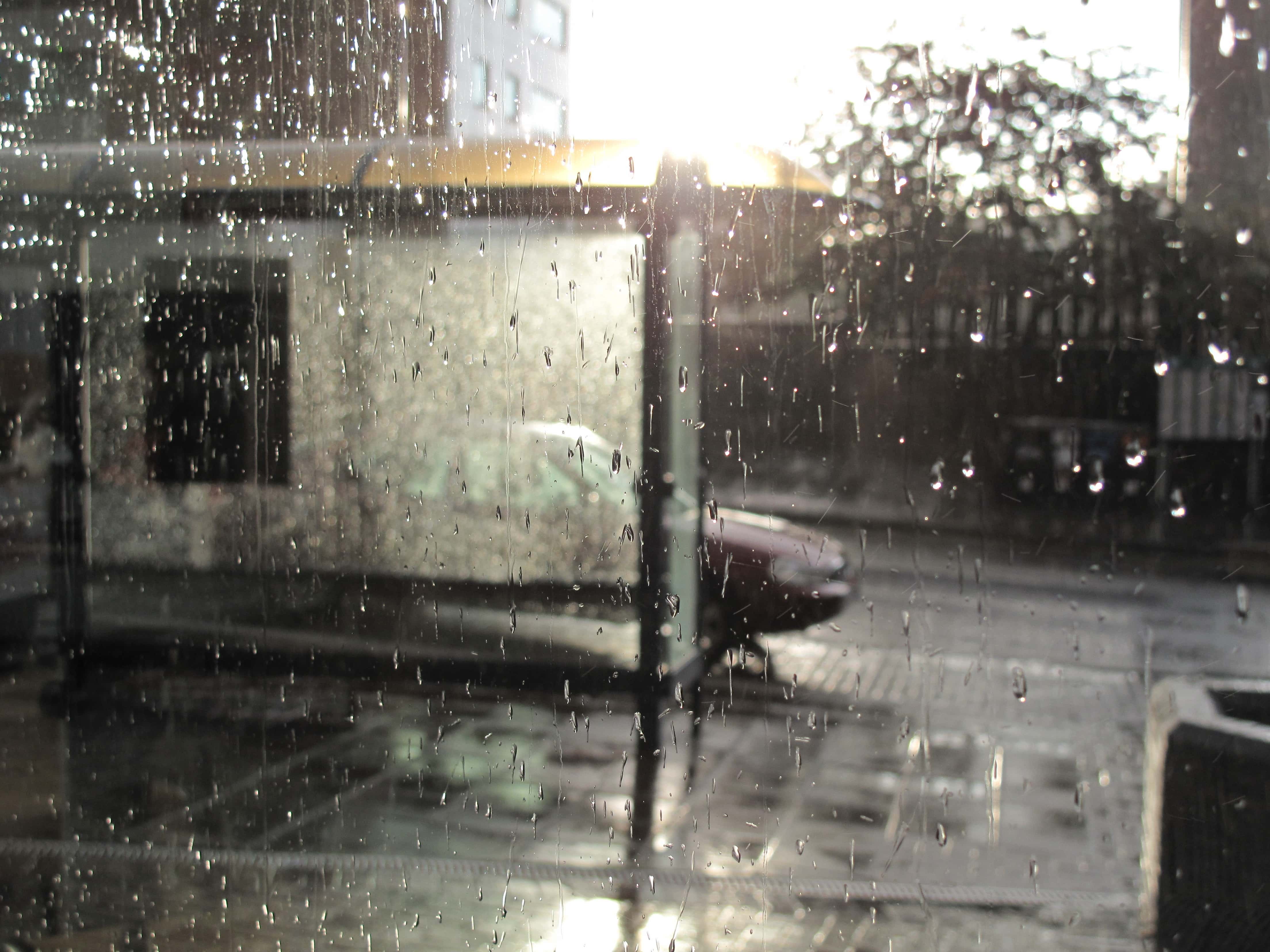 Heartbreaking Things Facts