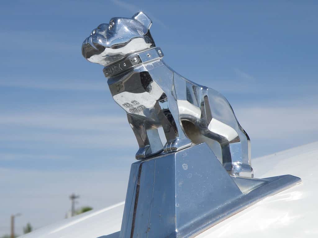 Truckers Stories Facts