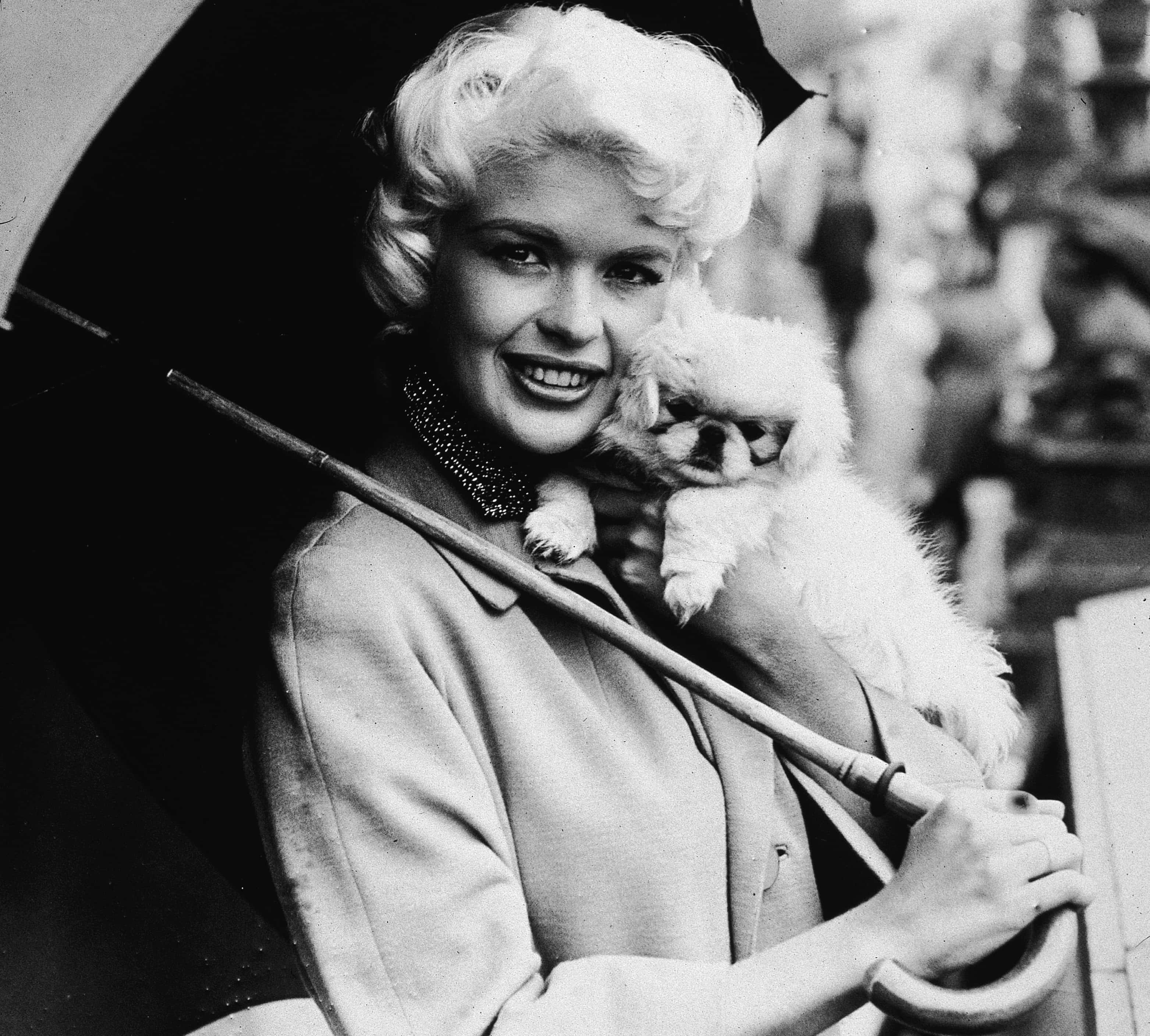 Jayne Mansfield facts