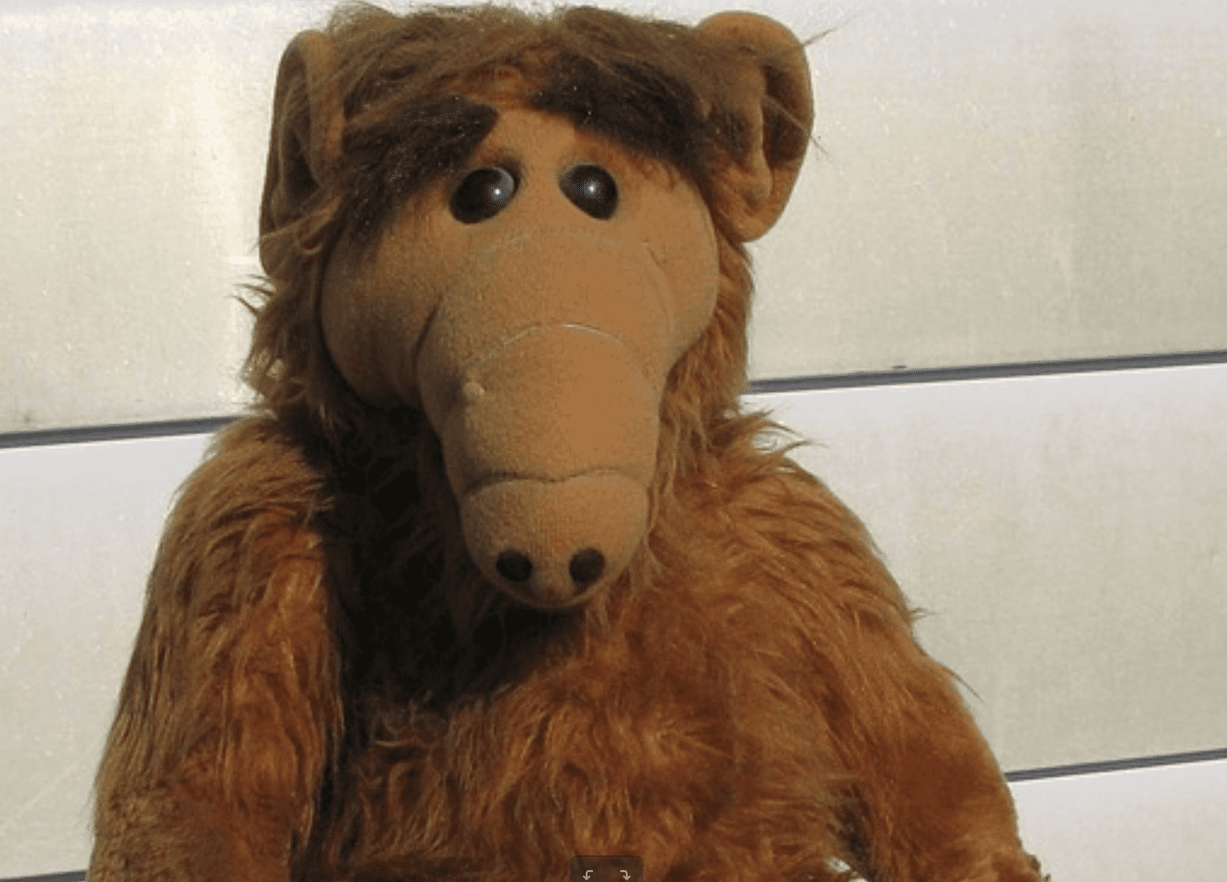 Awkward Halloween Facts