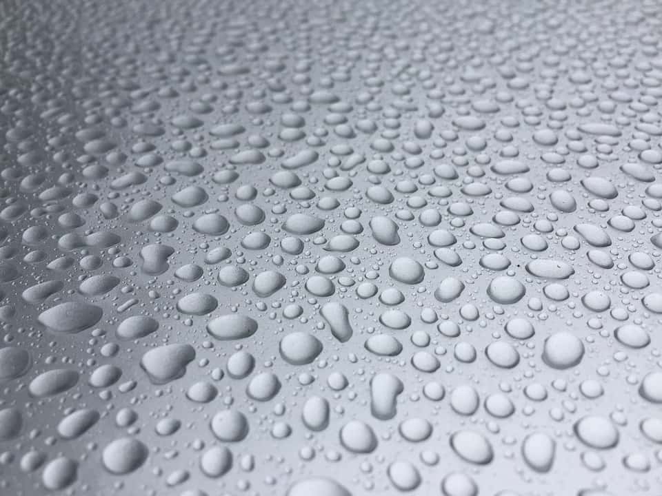 Everyday mistakes Facts