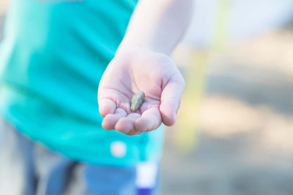 Halloween Memories Facts