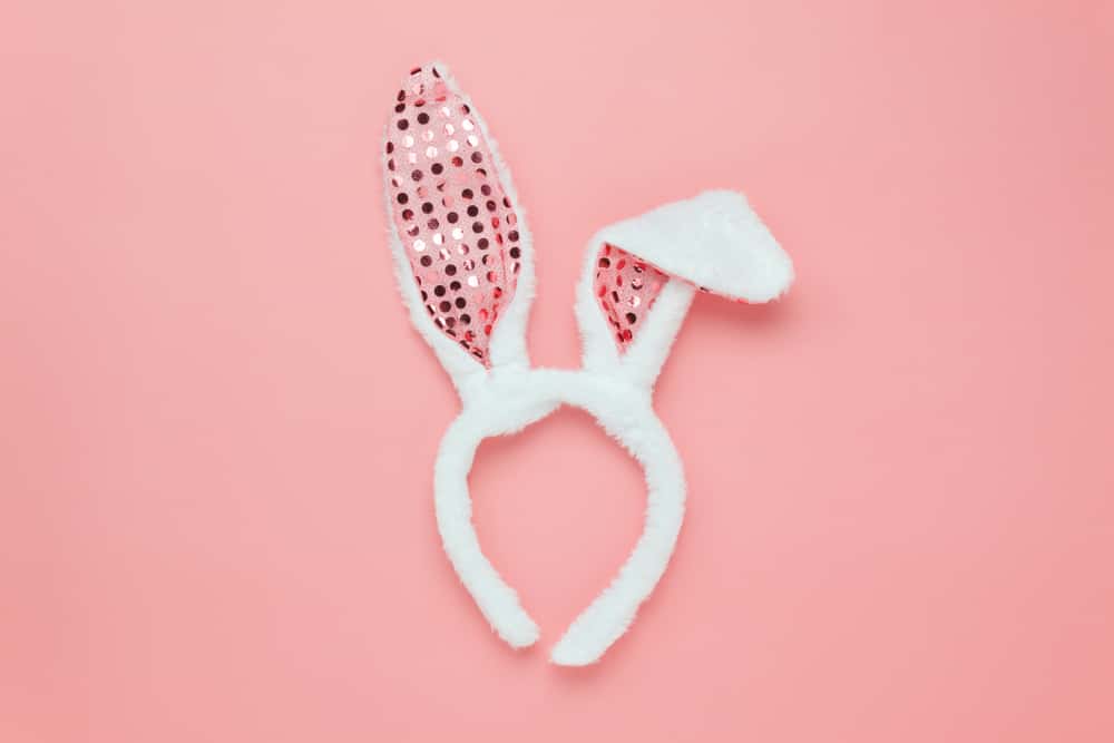 Halloween Memories Facts