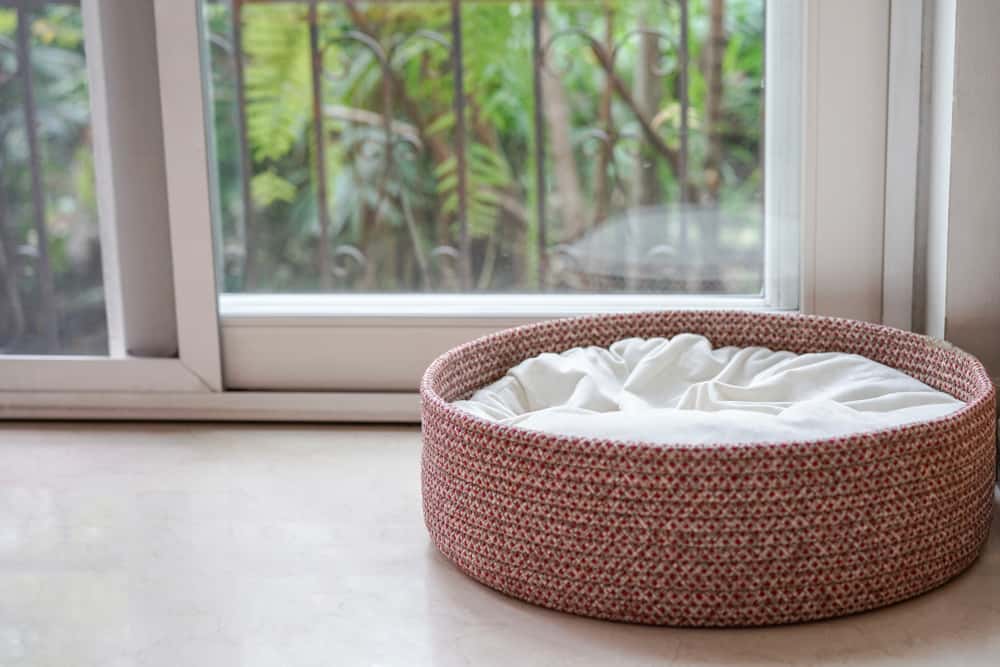 Heartbreaking Things Facts