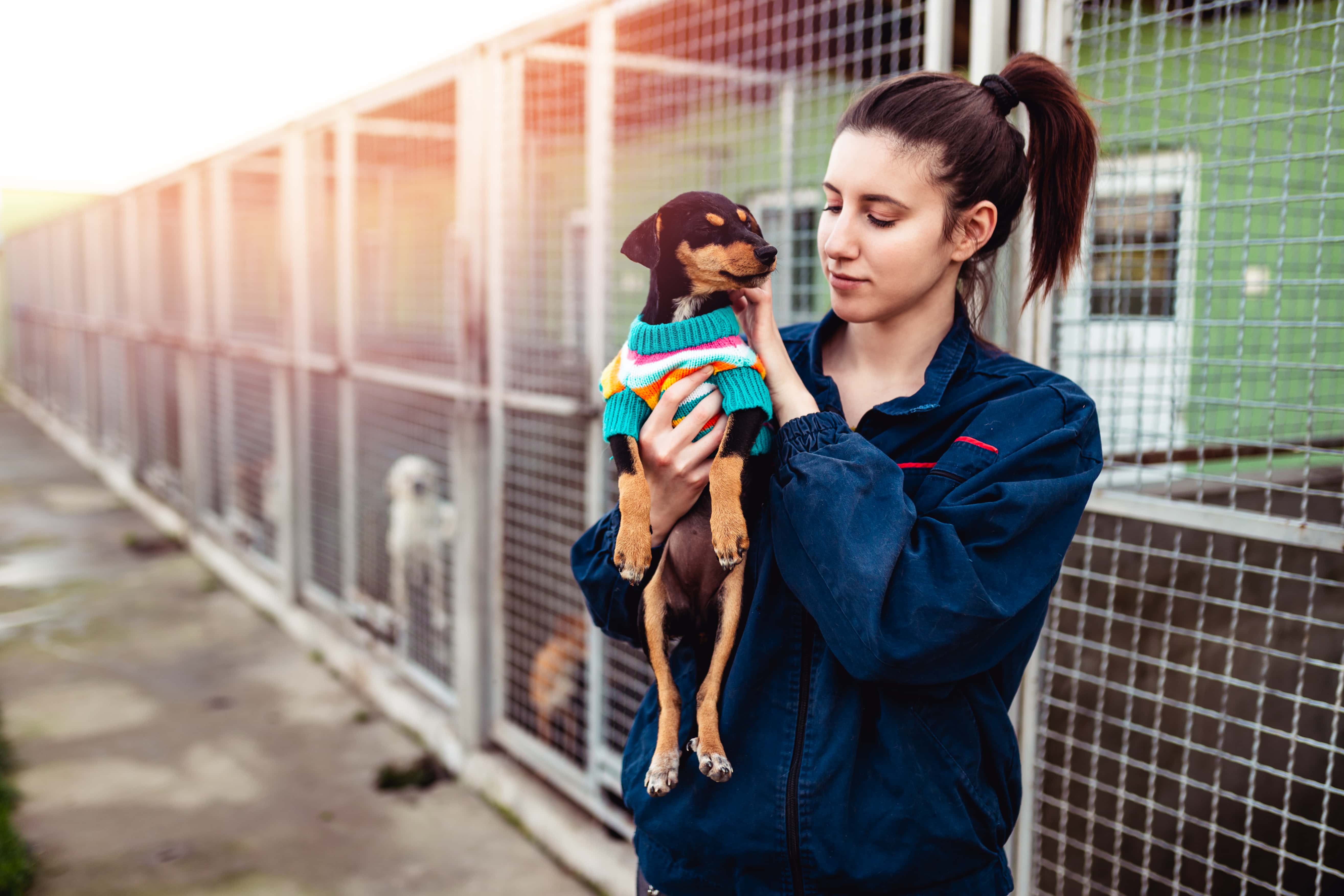 Fake It Til You Make It facts 