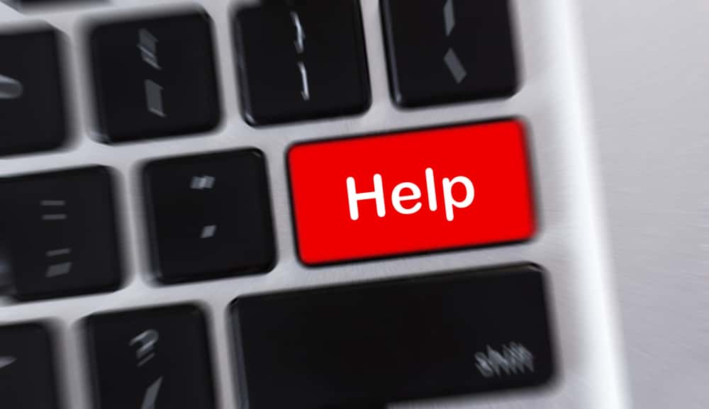 Students This Dumb Facts