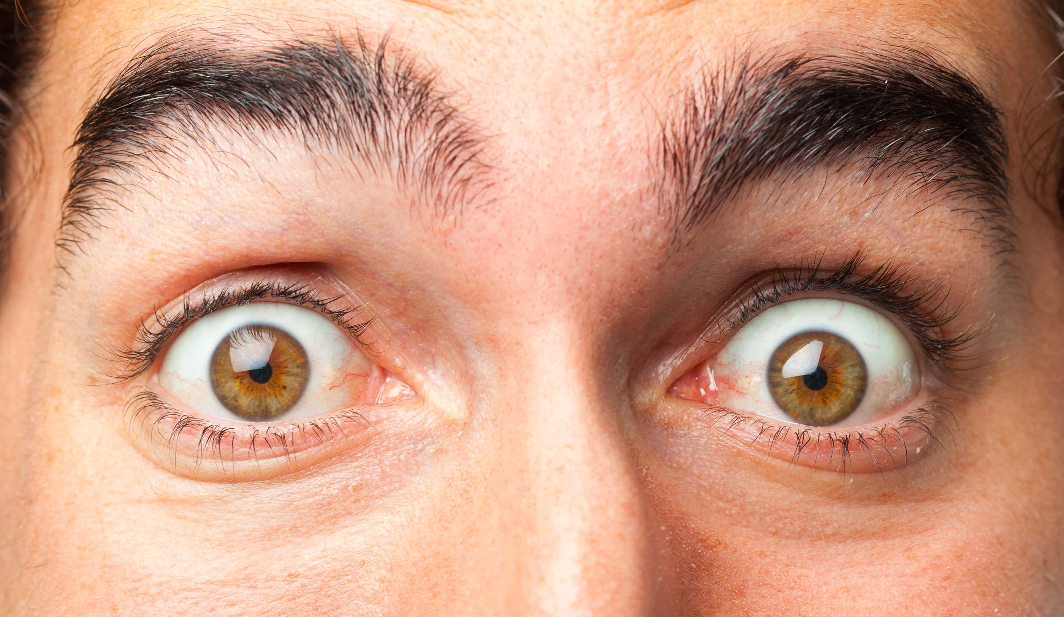 Gloria Grahame Facts