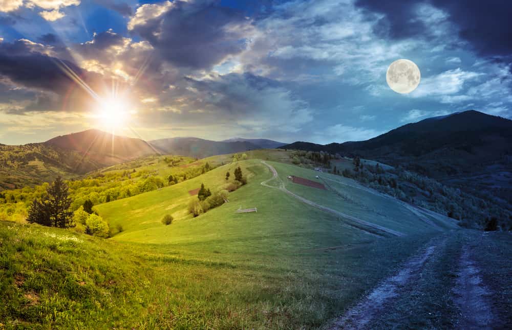 Childhood Memory Facts