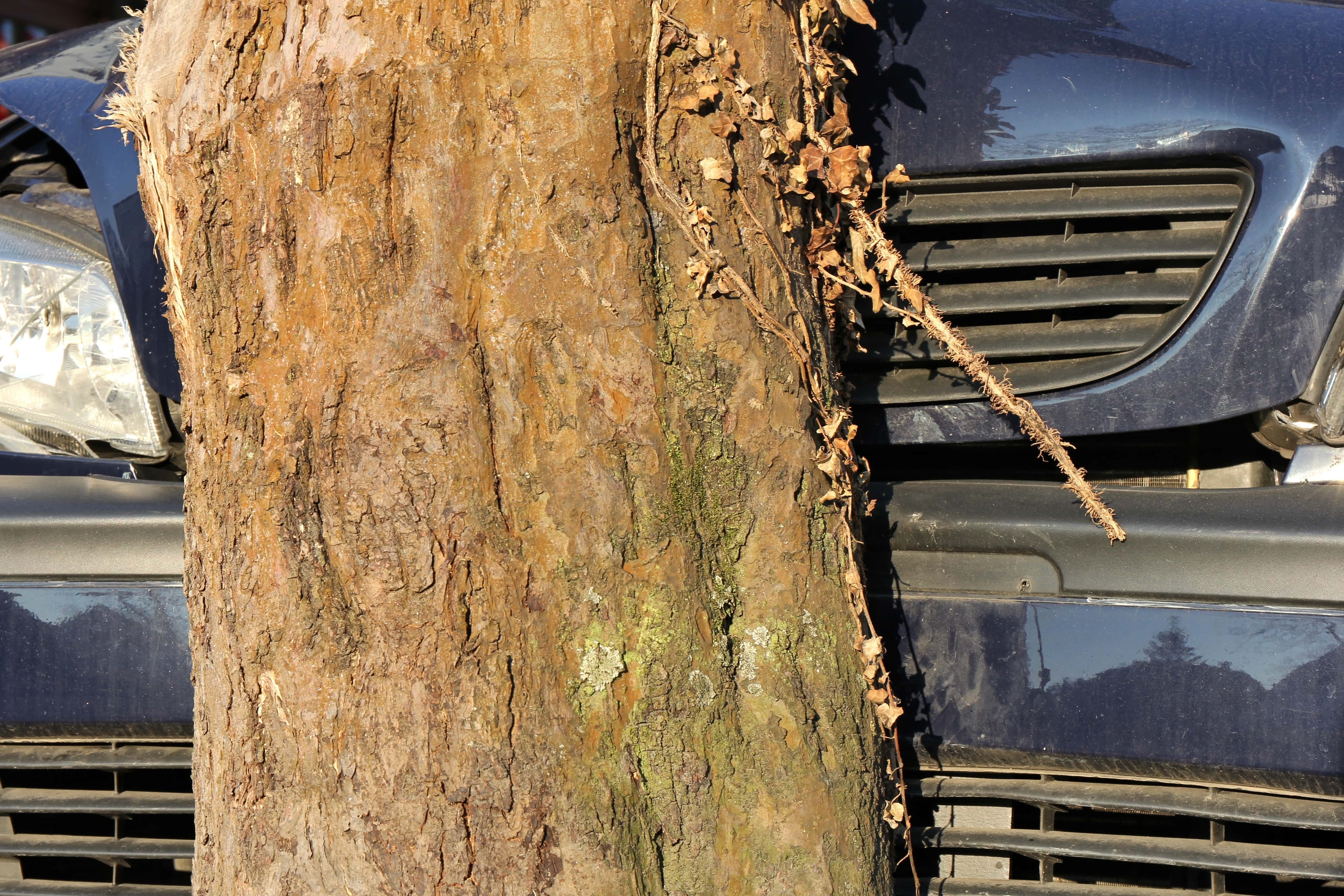 Ideas That Backfired facts