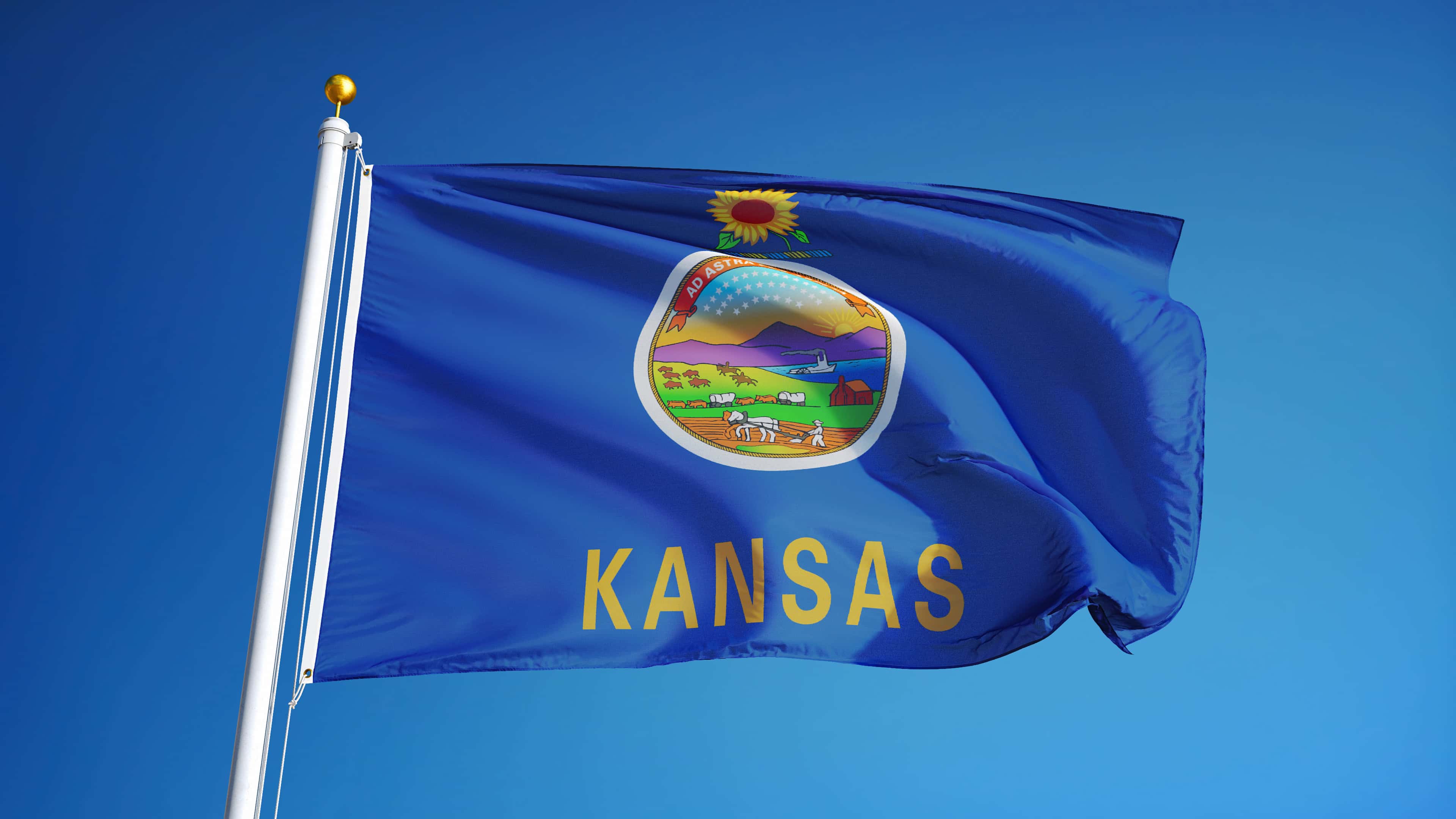 William S. Burroughs facts