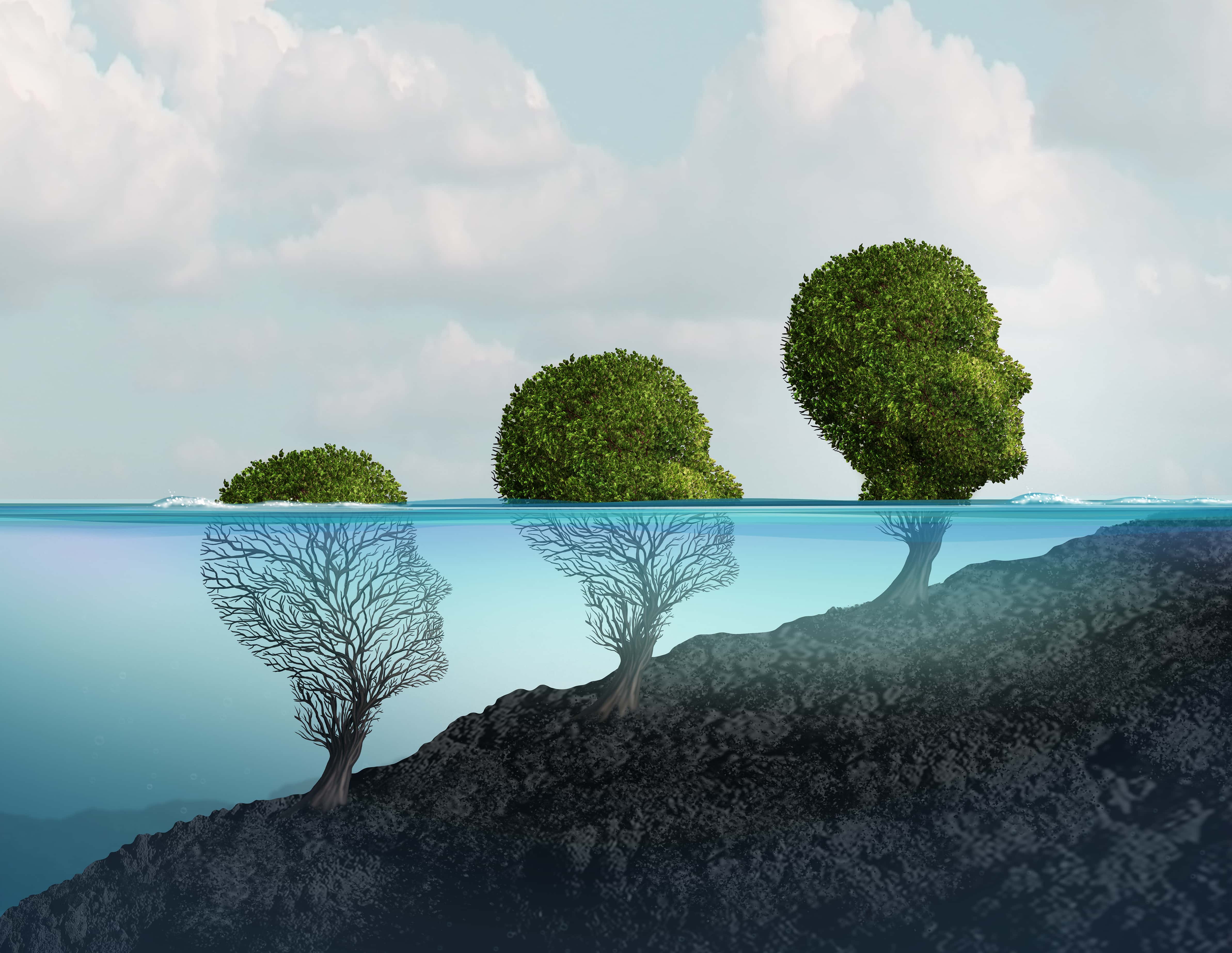 To Kill A Mockingbird facts