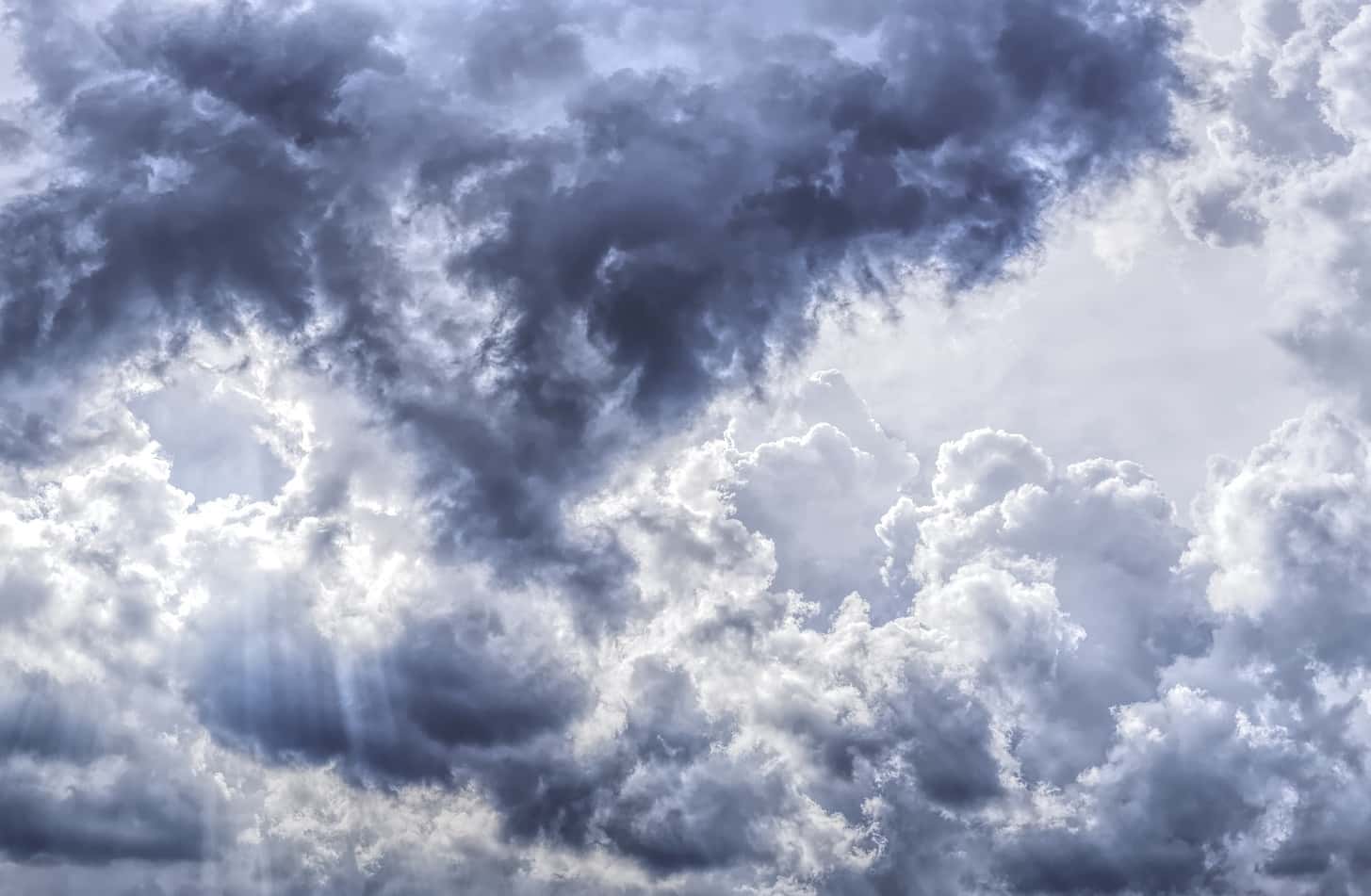 Coma Survivors facts