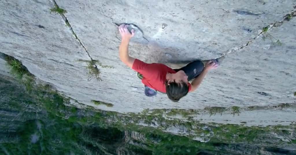 By Any Means Necessary: Warren Harding And El Cap