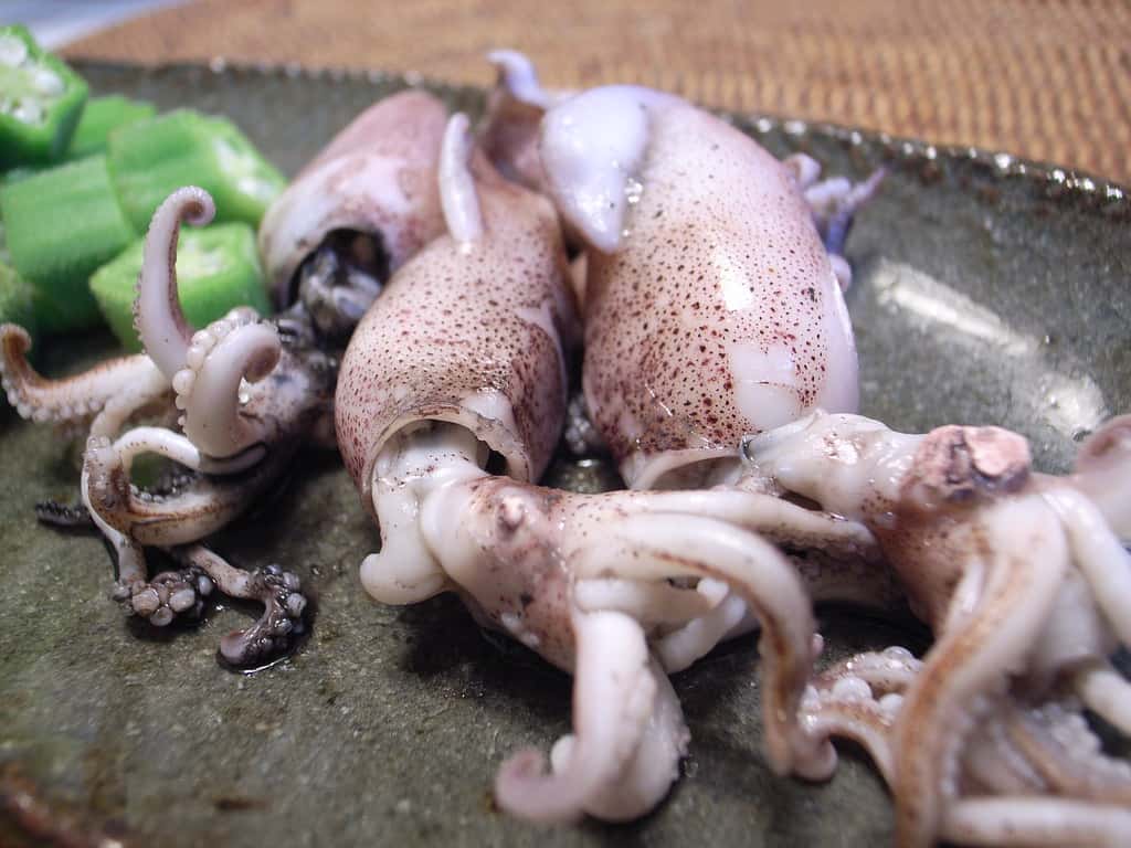 Married Men Dating Facts