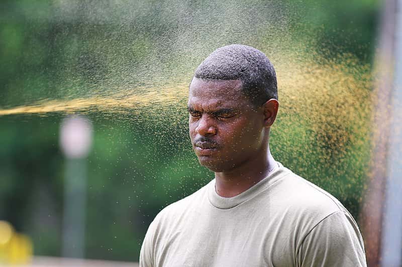 Never Go Through Again Facts