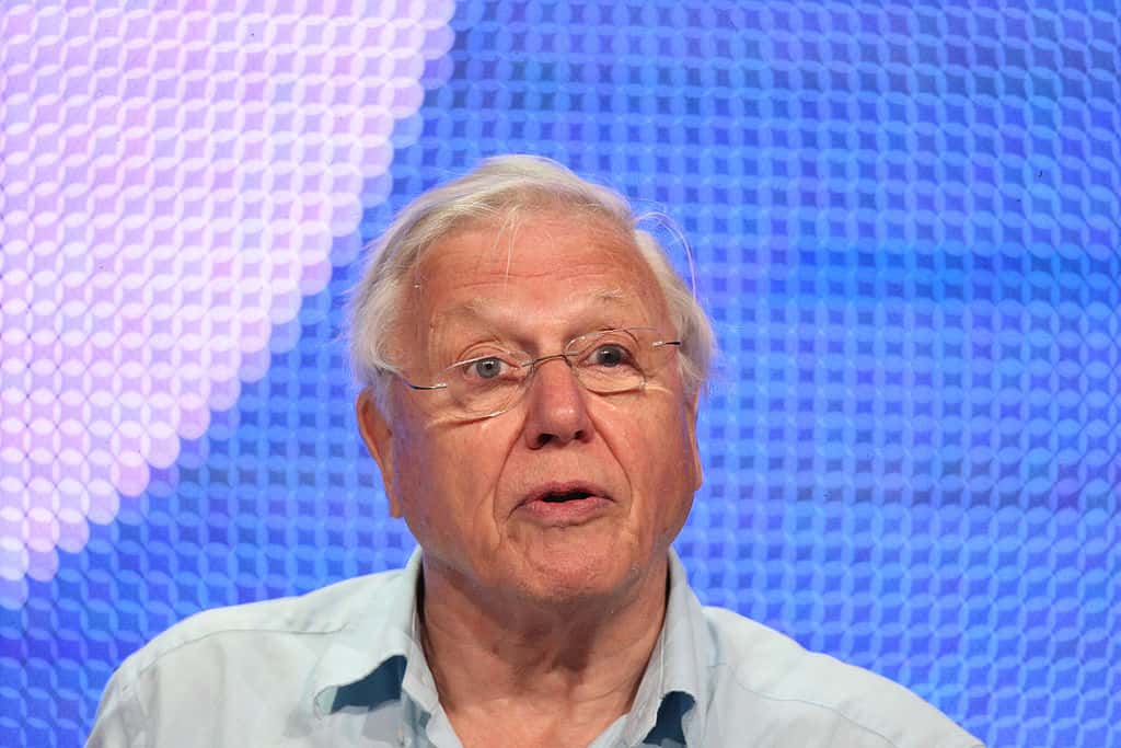 David Attenborough Facts