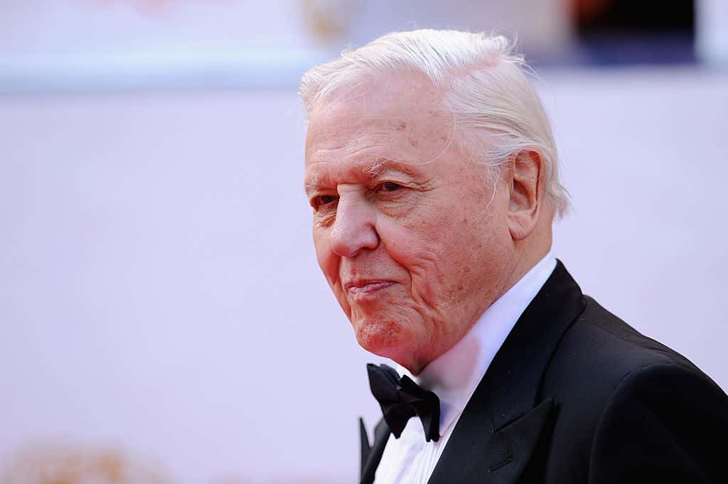 David Attenborough Facts