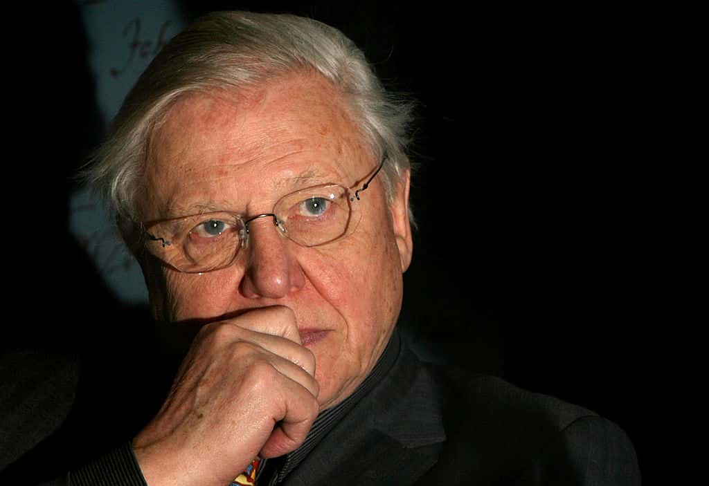 David Attenborough Facts