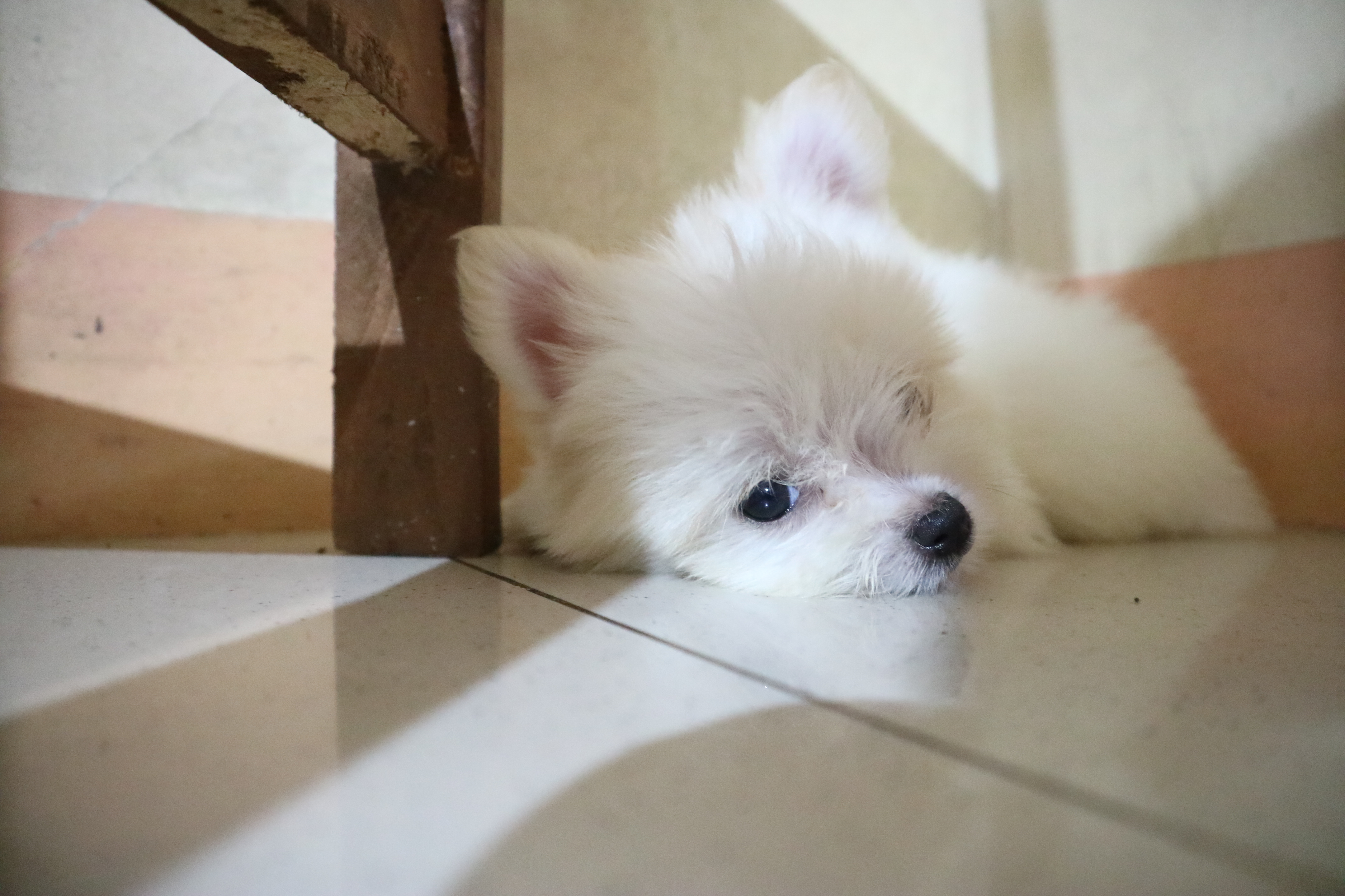 Never Go Through Again Facts