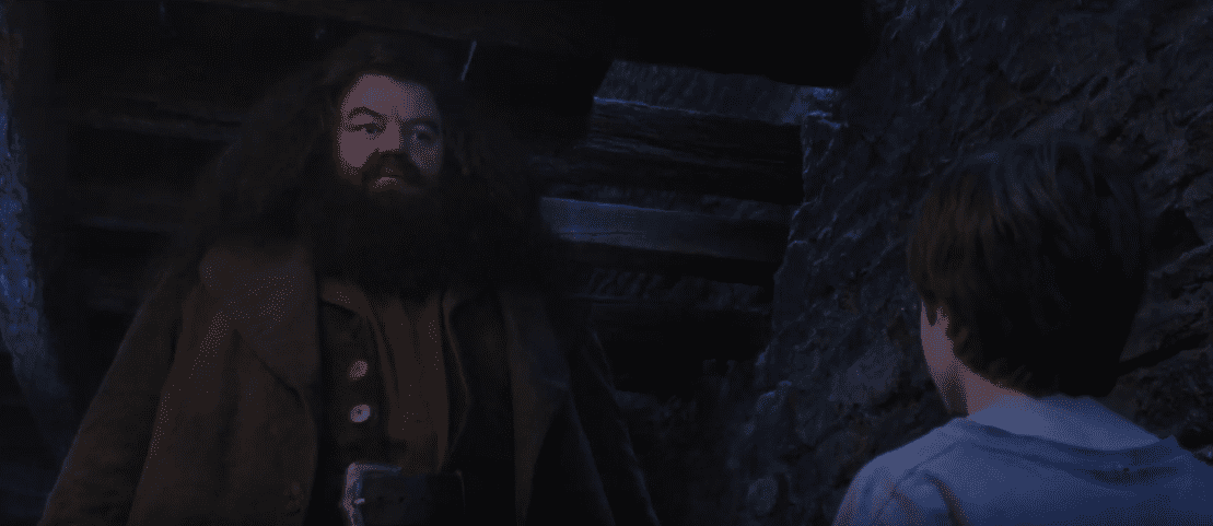 Harry Potter Issues Facts