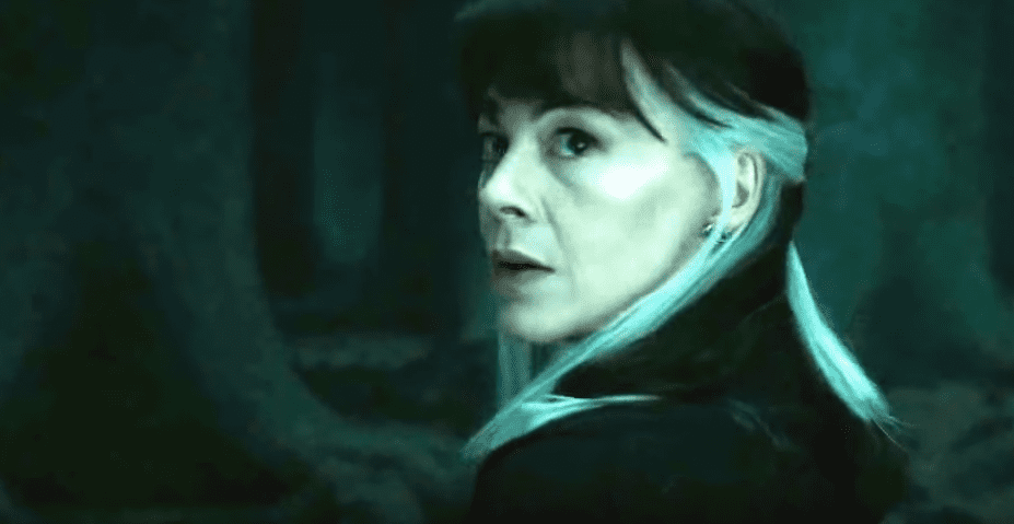 Harry Potter Issues Facts