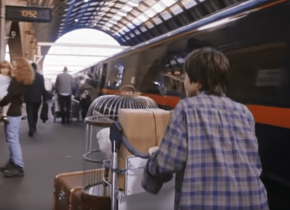 Harry Potter Issues Facts