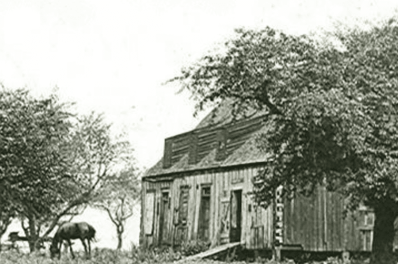 L.M. Montgomery Facts