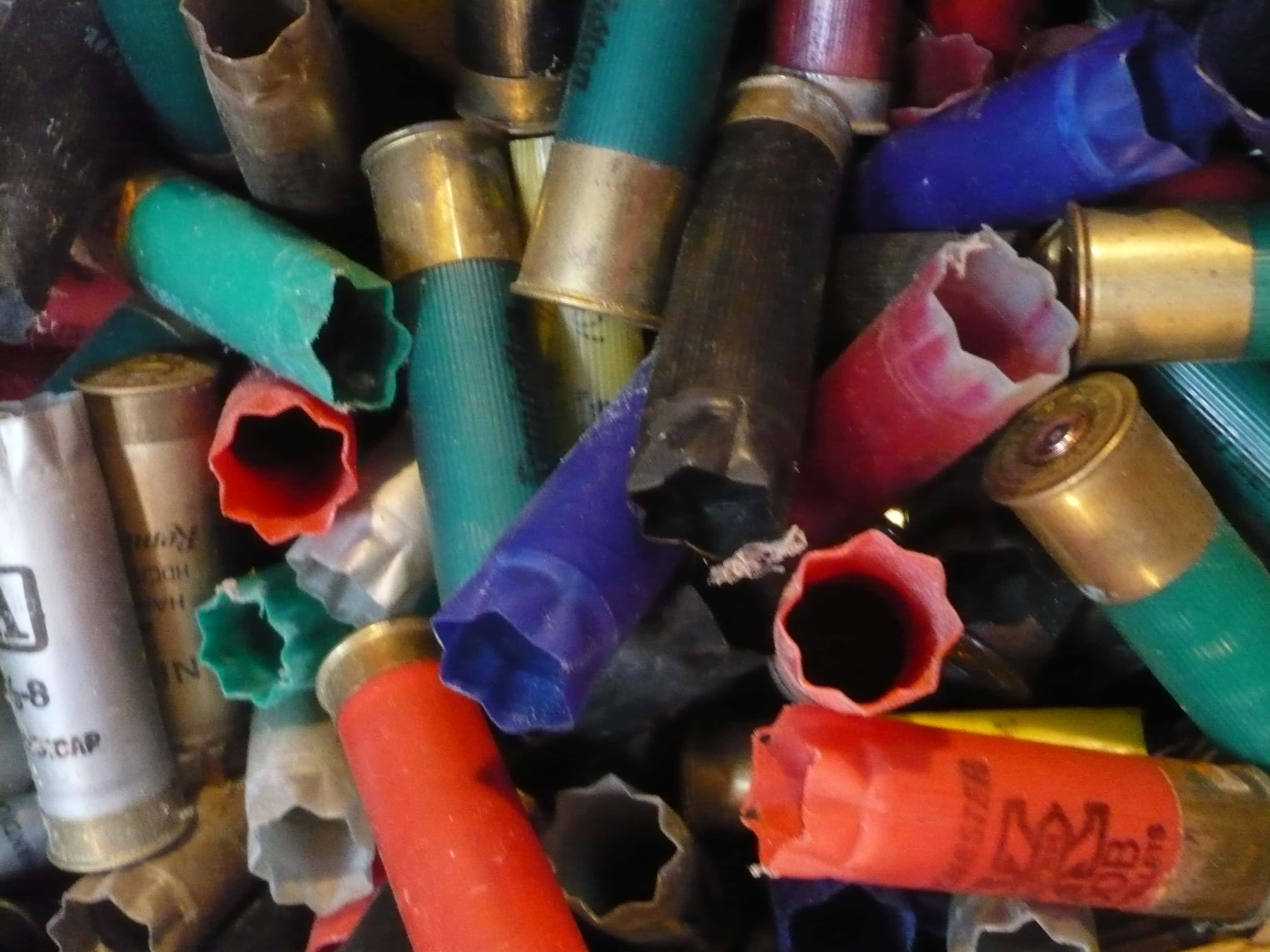 Students Getting Expelled facts