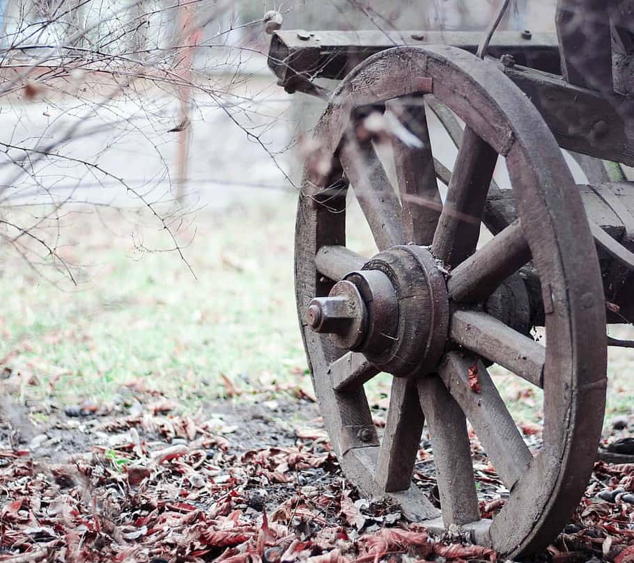 Elizabeth Chudleigh Facts