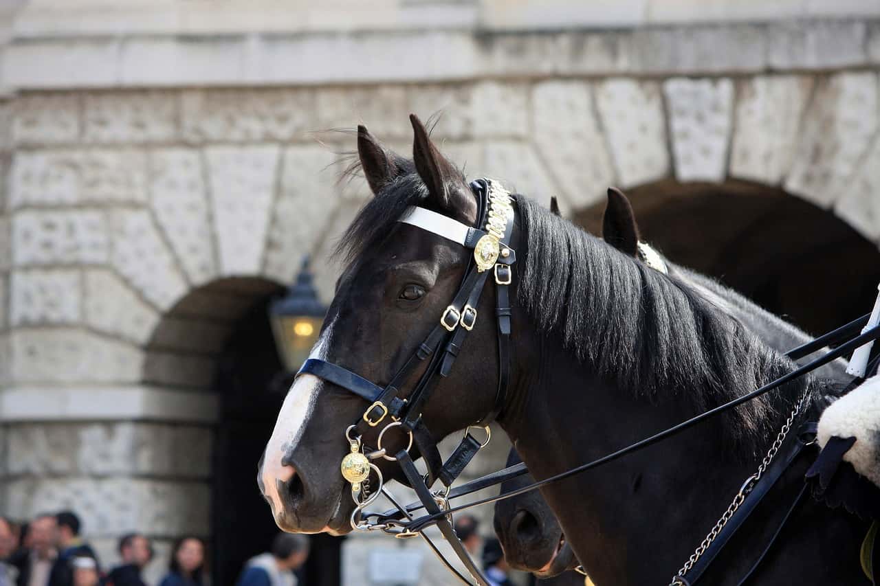 Embarrassing Moments In History facts 