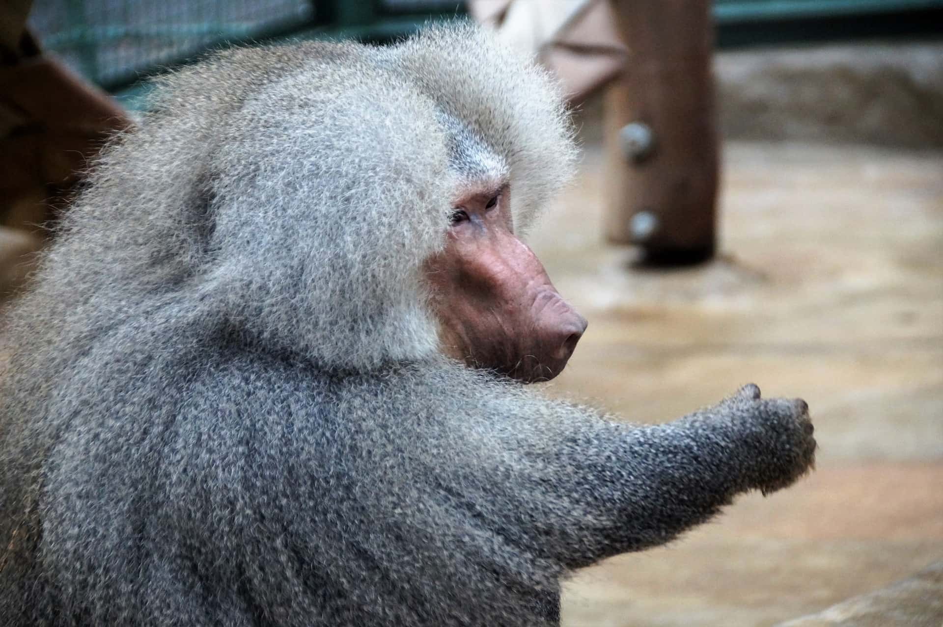 Die A Little Inside facts