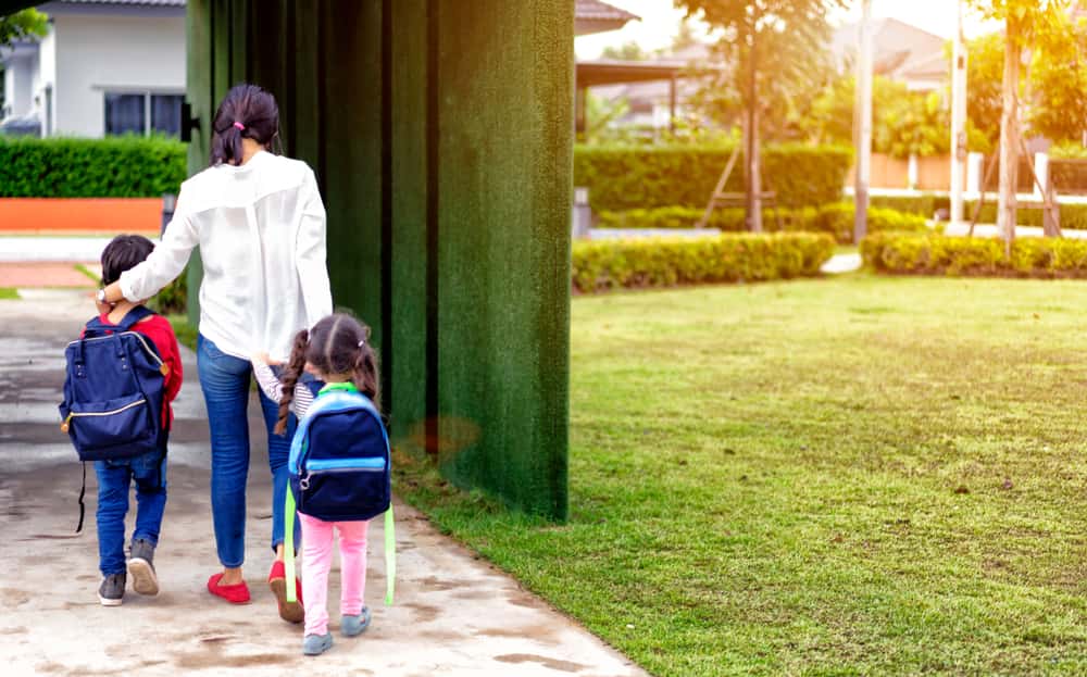 Wholesome Secrets Facts