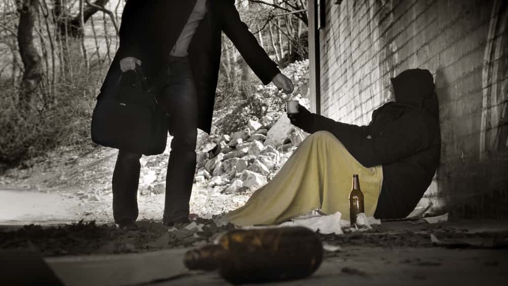 Wholesome Secrets Facts