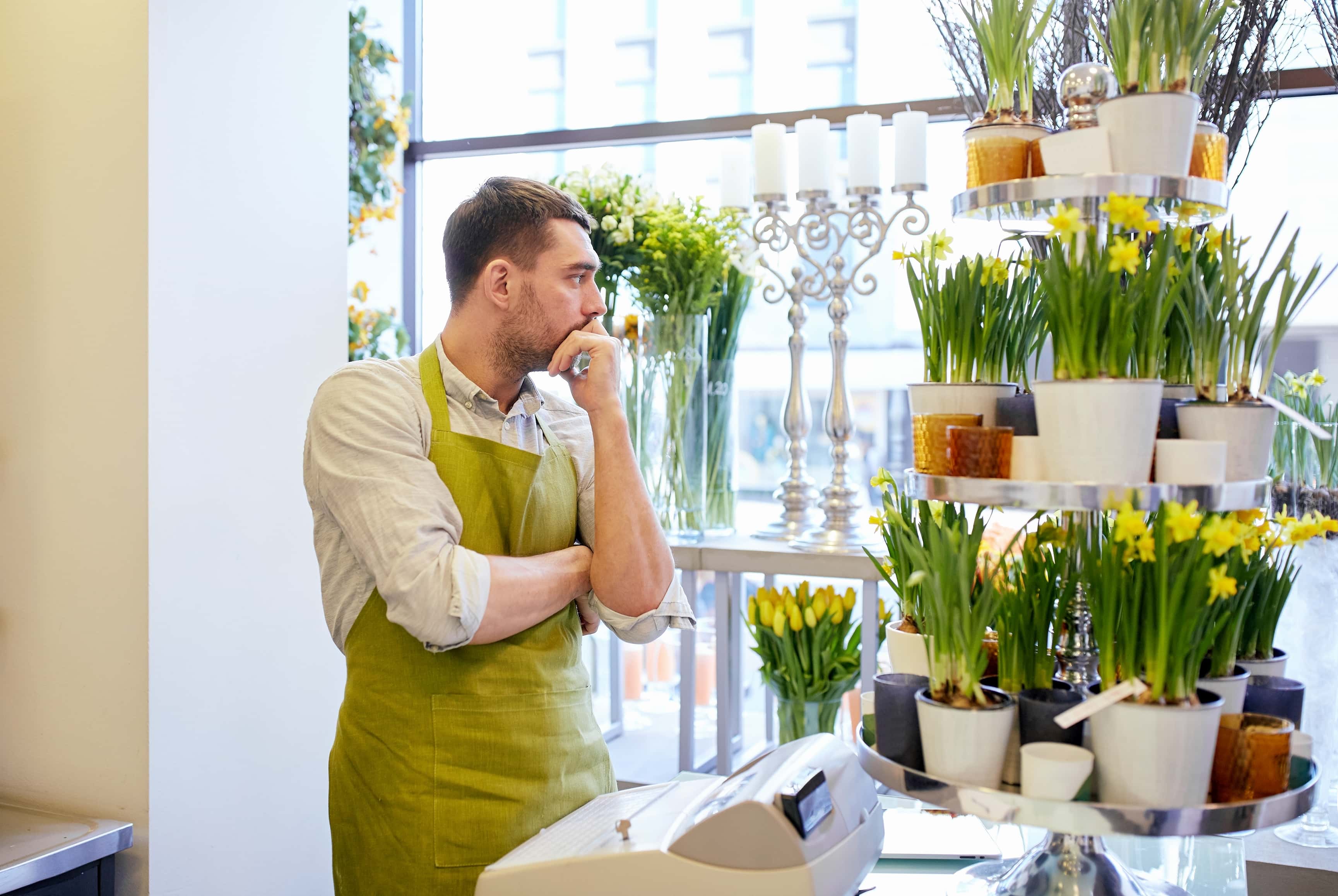 Innocent Questions Crushed facts