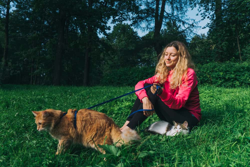 Wholesome Secrets Facts