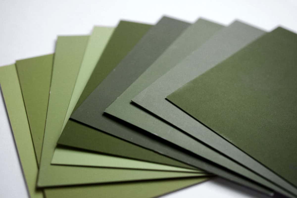 Dumbest Thing Children Believed Facts