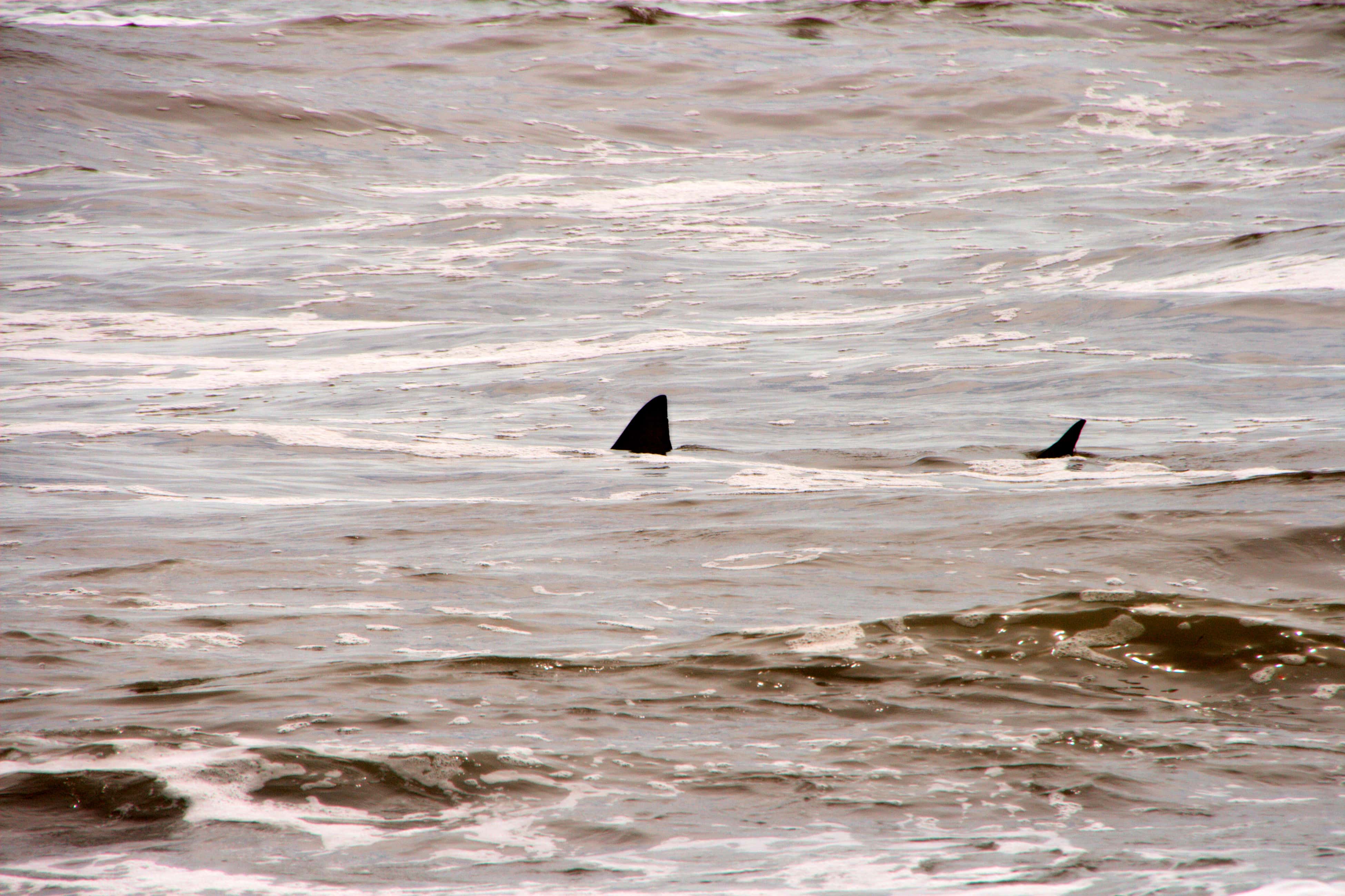 I’m In Big Trouble Facts