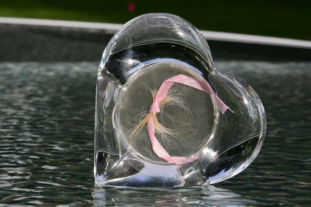 Hystory Bad brakeups Facts