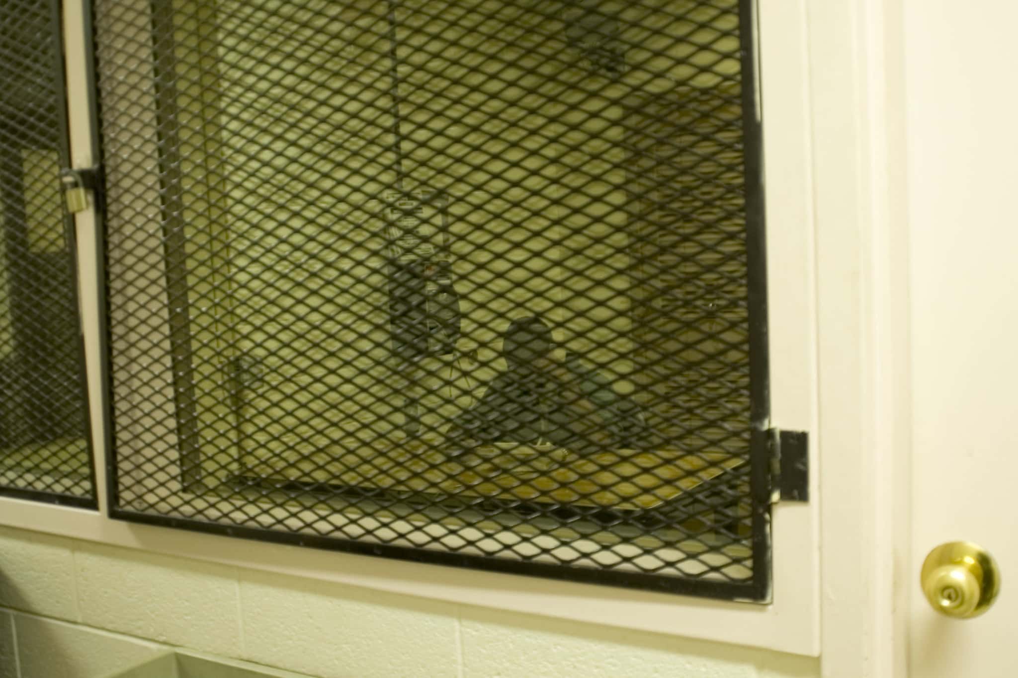 Criminals Screwed facts