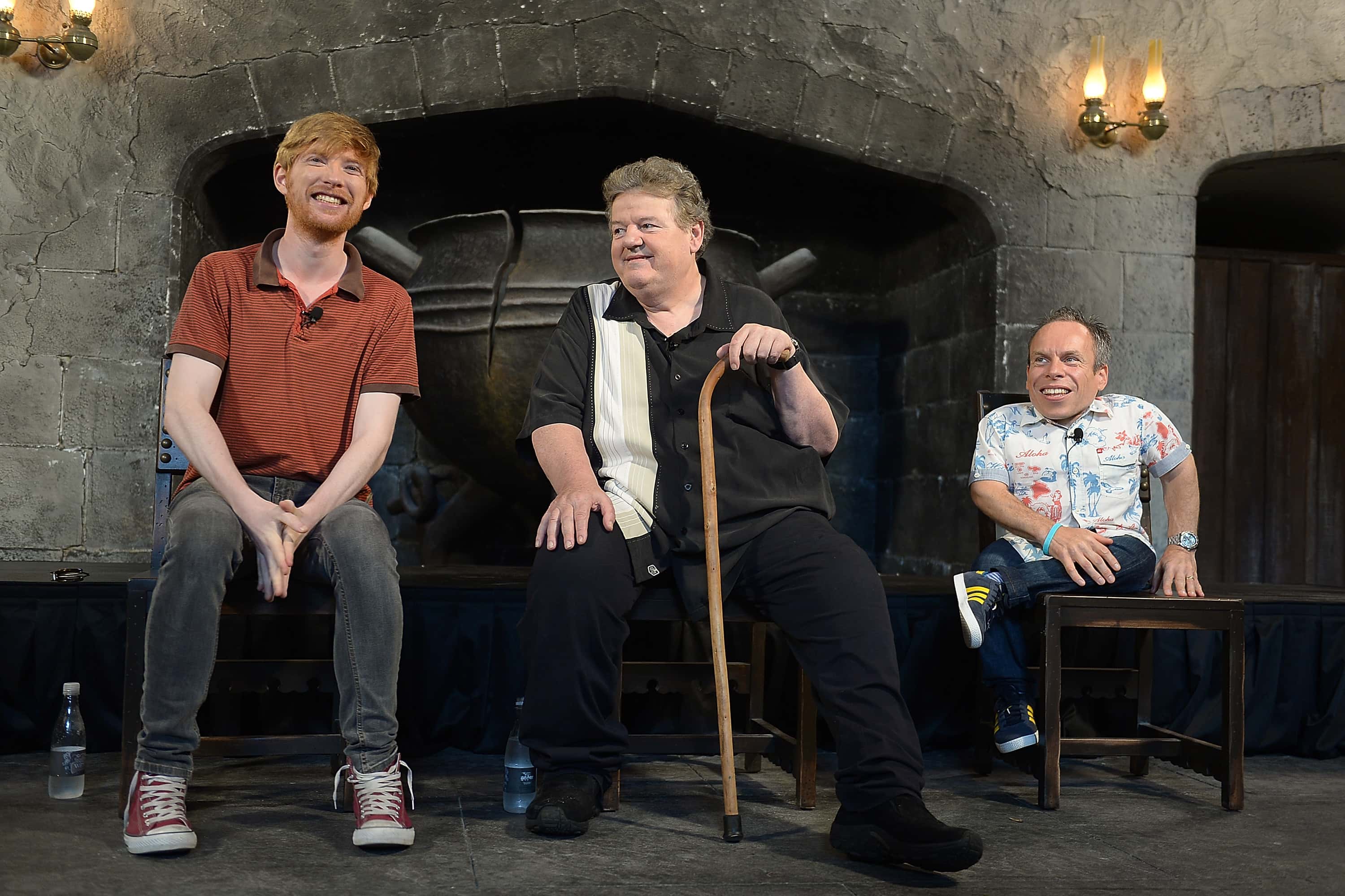 Domhnall Gleeson, Robbie Coltrane and Warwick Davis