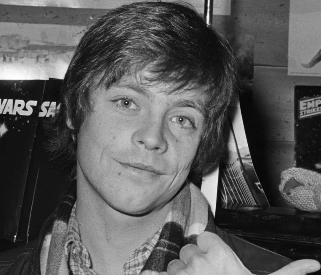 Forceful Facts About Luke Skywalker - Factinate