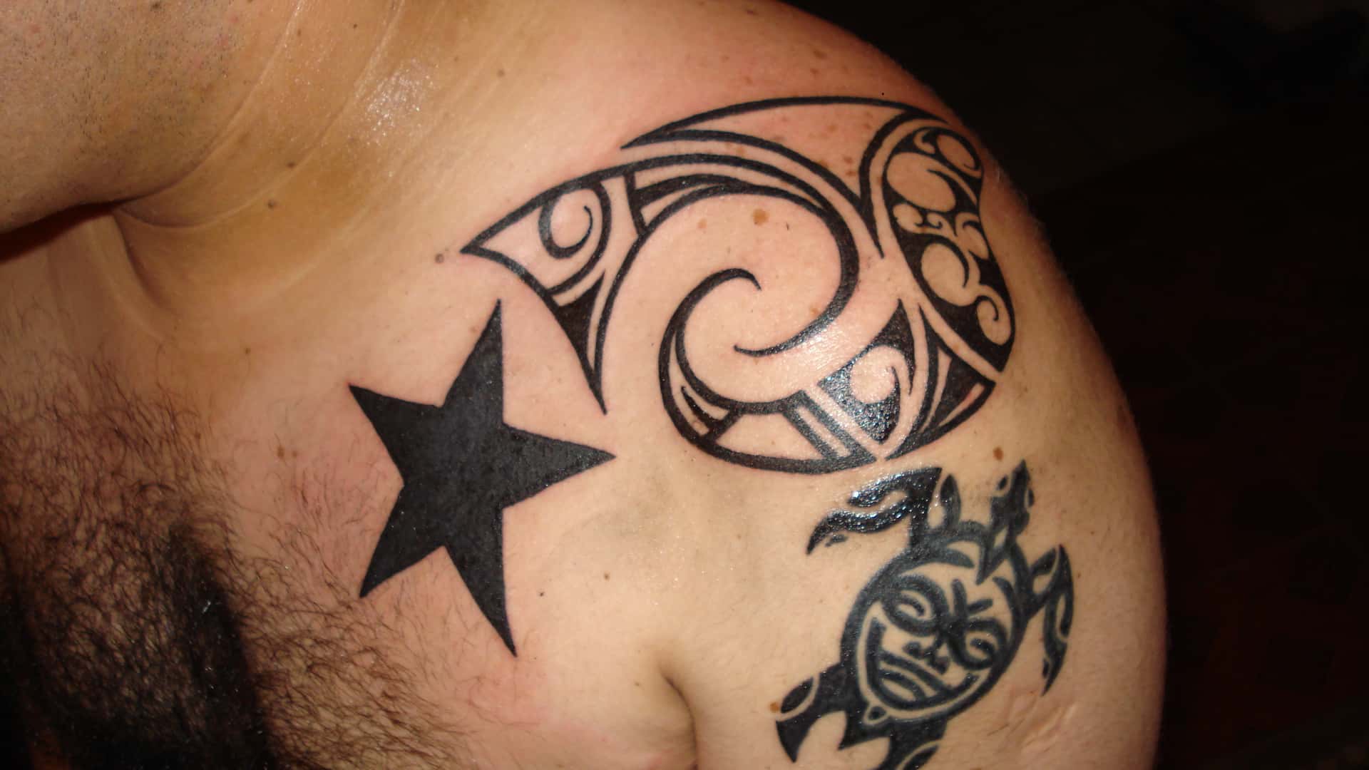 Dumbest Thing Children Believed Facts