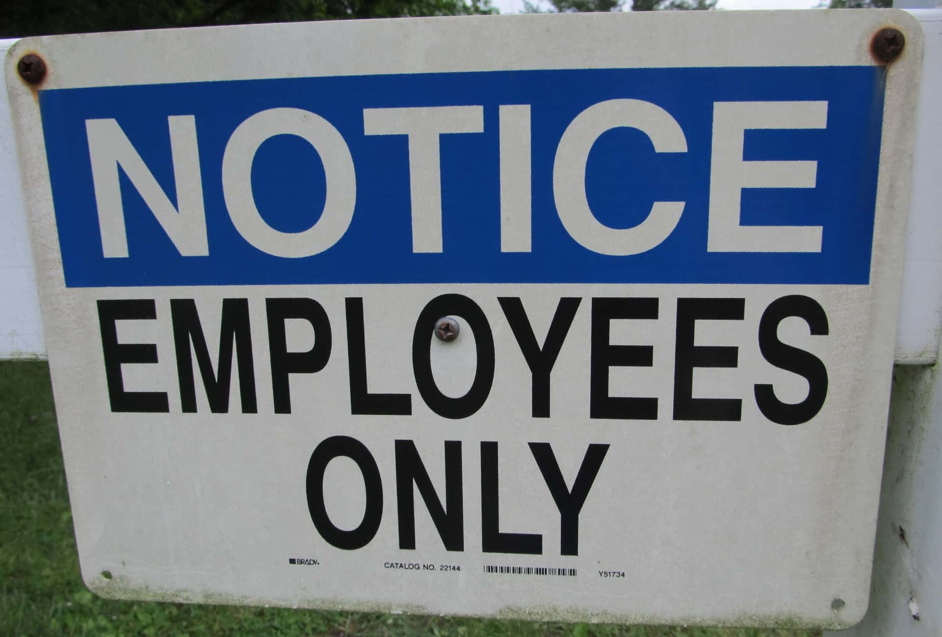 Dumbest Thing Children Believed Facts