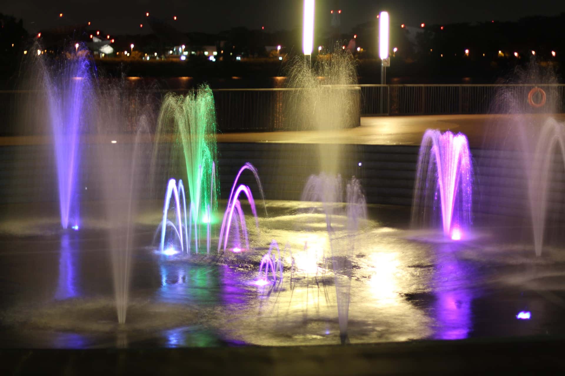 Dumbest Thing Children Believed Facts