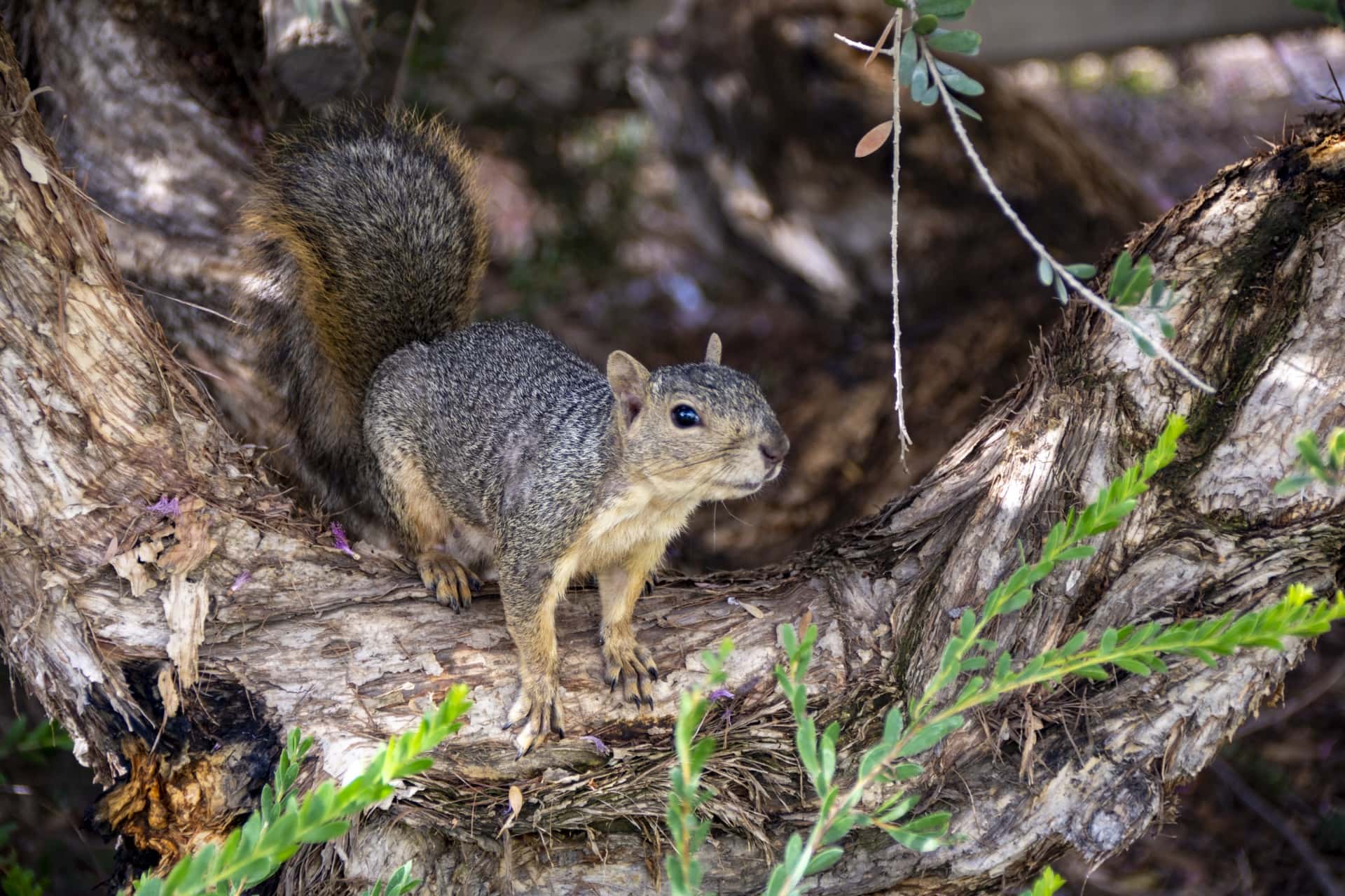 Awful First Dates Facts